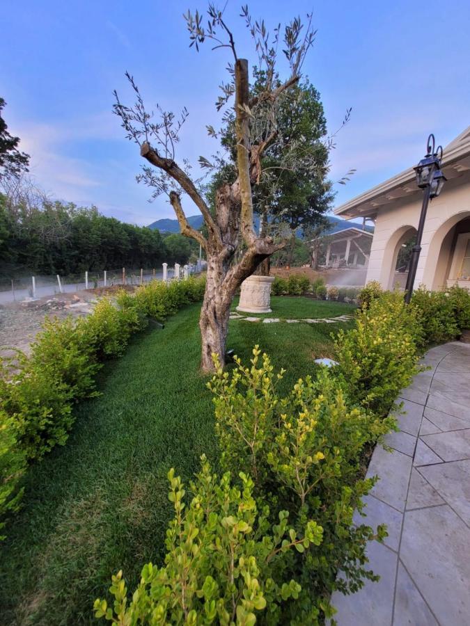Tenuta Santo Stefano Azienda Agrituristica Santo Stefano del Sole Bagian luar foto